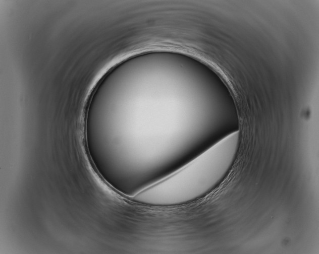 X0000100841531200806200726