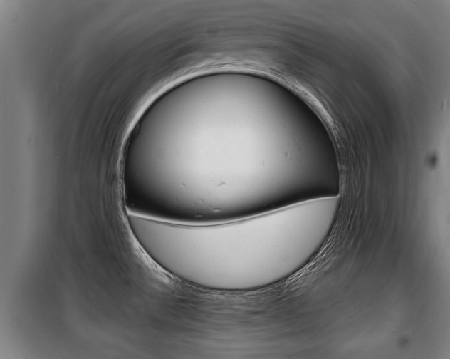 X0000100841532200806200726