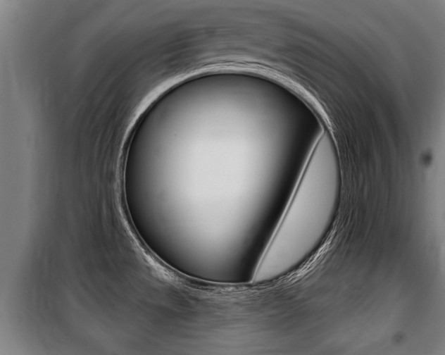 X0000100841533200806200726