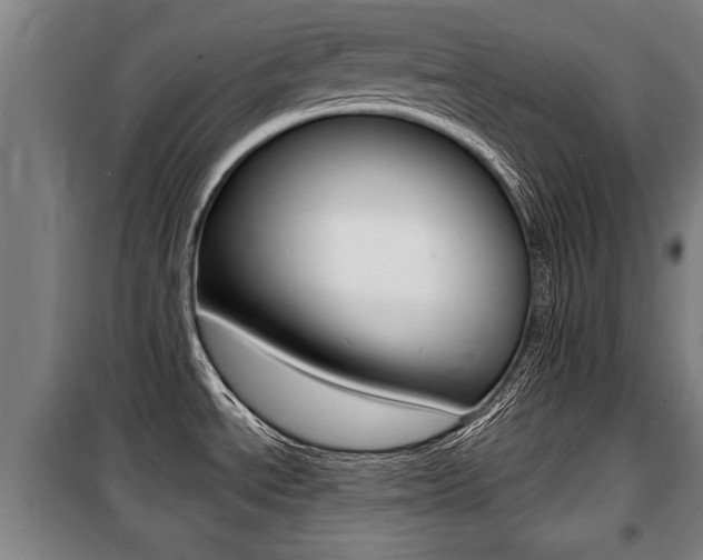 X0000100841534200806200726