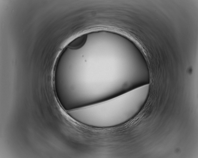X0000100841535200806200726
