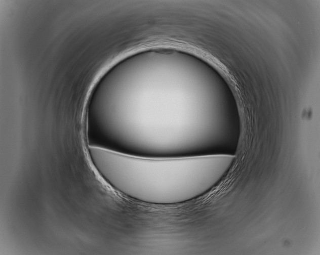X0000100841536200806200726
