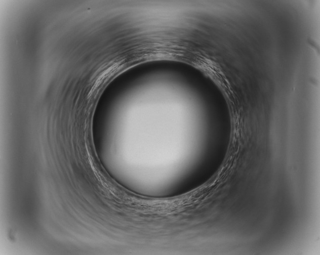 X0000100840001200806201201