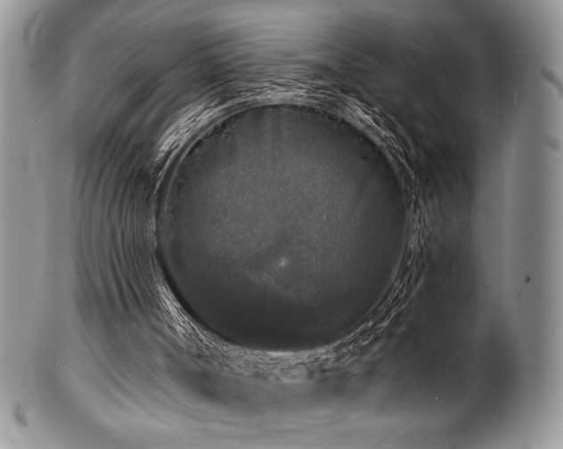 X0000100840002200806201201