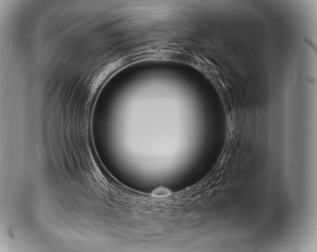 X0000100840003200806201201