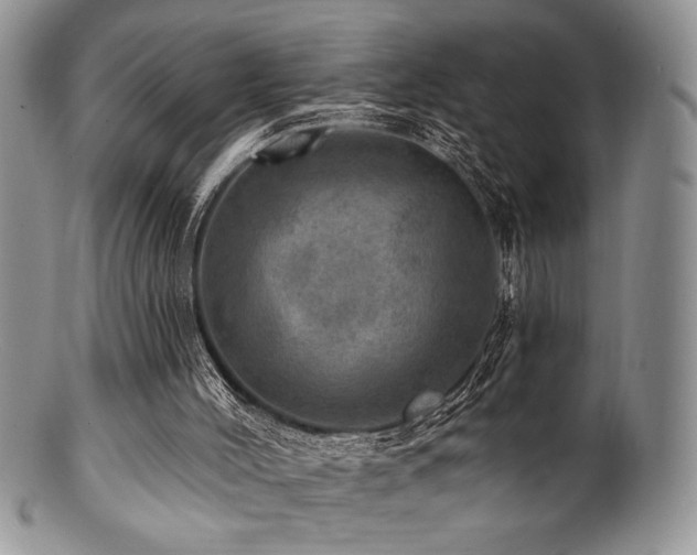 X0000100840004200806201201