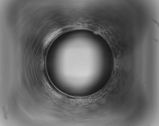 X0000100840005200806201201