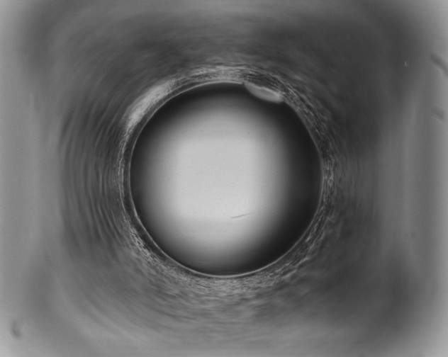 X0000100840006200806201201