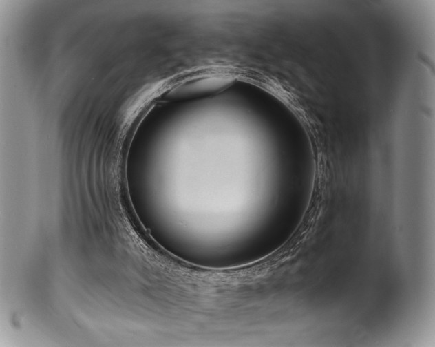 X0000100840007200806201201