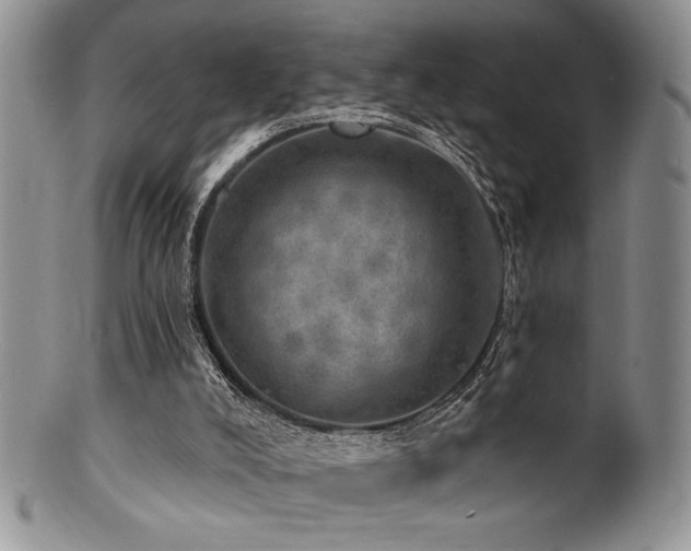 X0000100840008200806201201