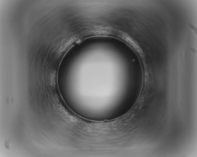 X0000100840009200806201201