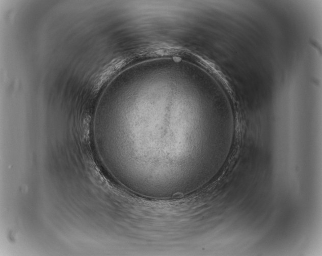 X0000100840010200806201201