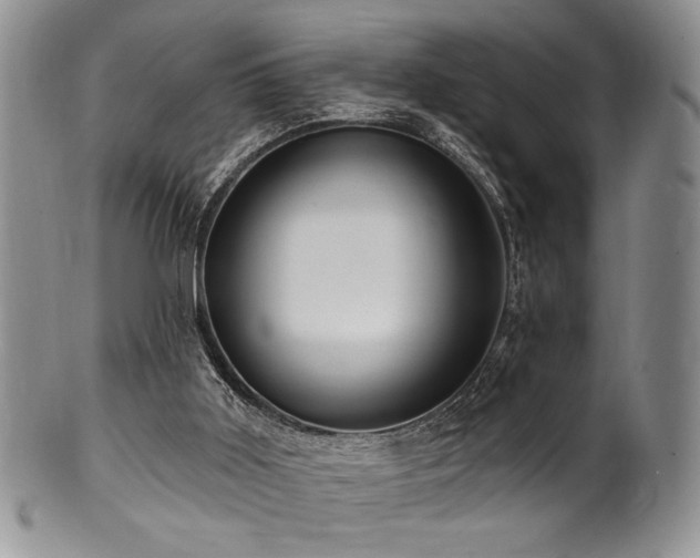 X0000100840011200806201201