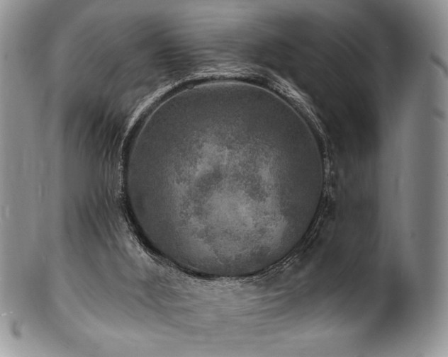 X0000100840012200806201201