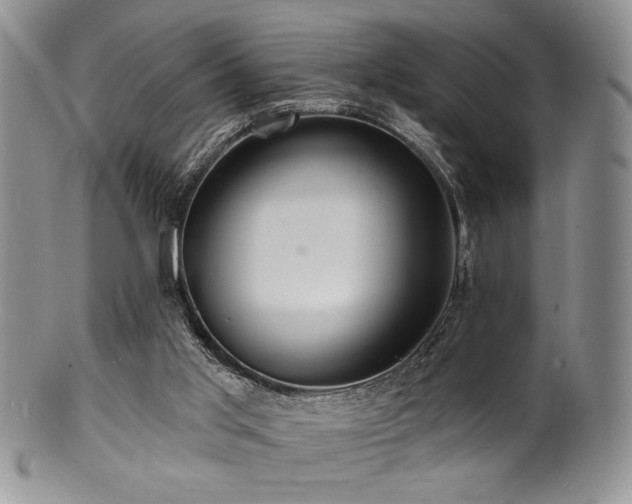 X0000100840013200806201201