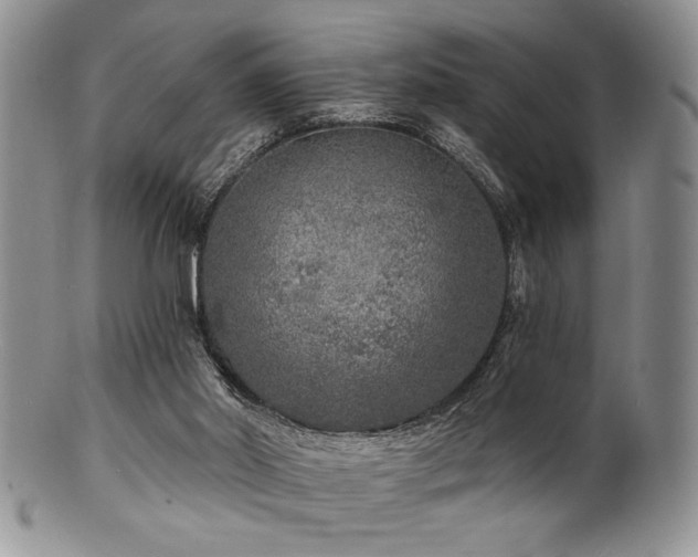 X0000100840014200806201201