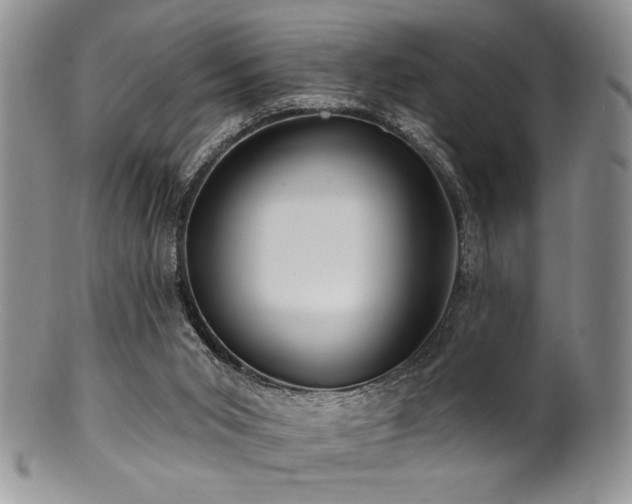 X0000100840015200806201201