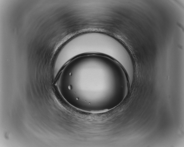 X0000100840016200806201201