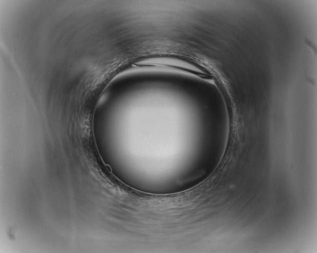 X0000100840017200806201201