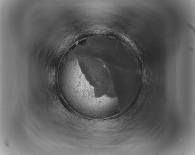 X0000100840018200806201201