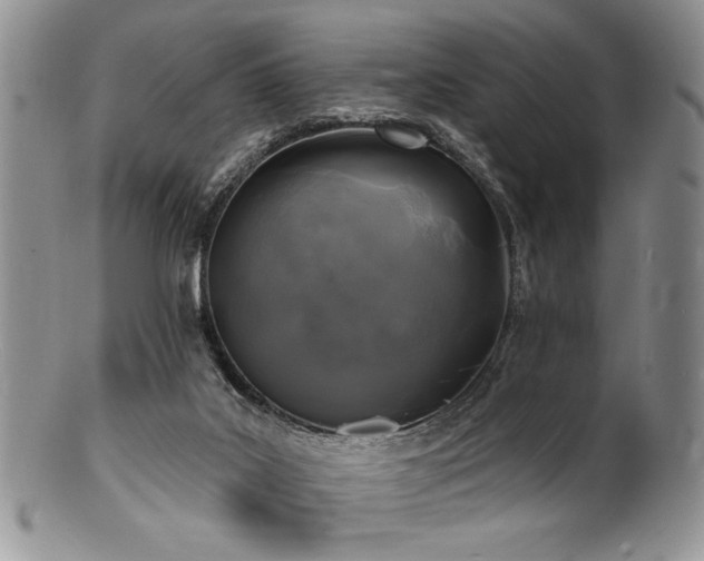 X0000100840019200806201201