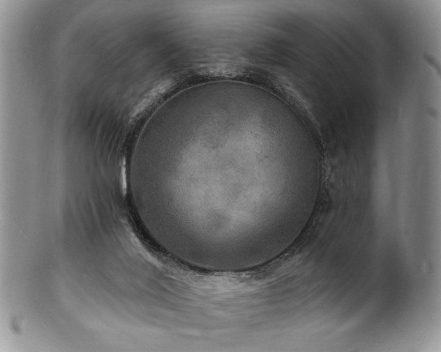 X0000100840020200806201201