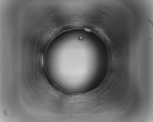 X0000100840021200806201201