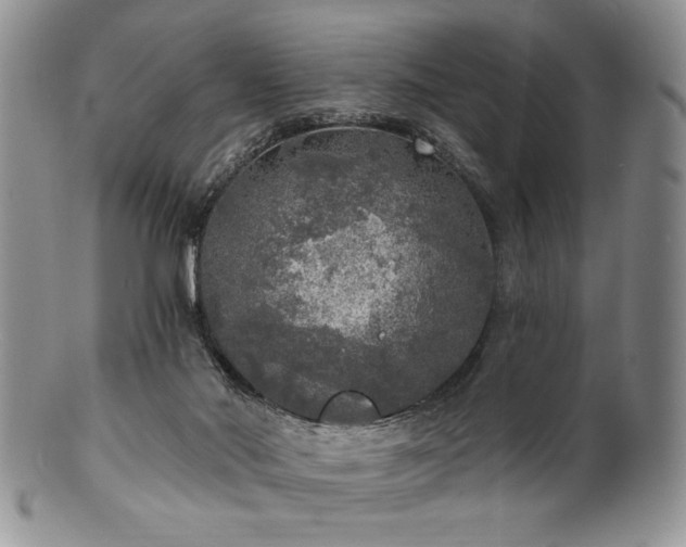 X0000100840022200806201201