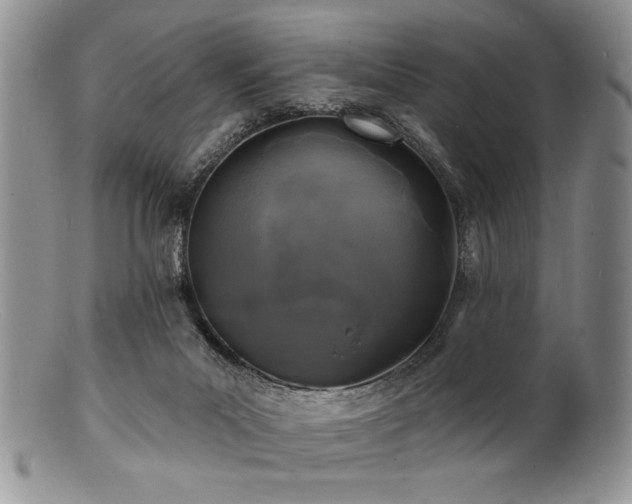 X0000100840023200806201201