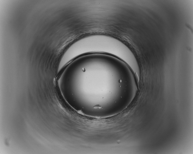 X0000100840024200806201201