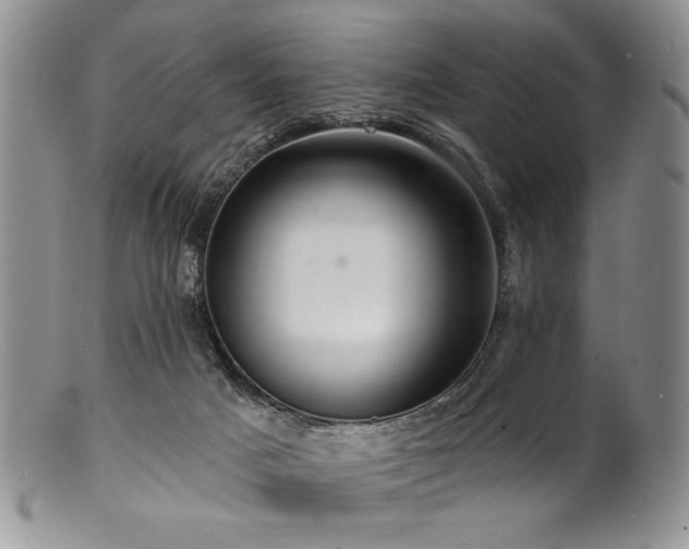 X0000100840025200806201201