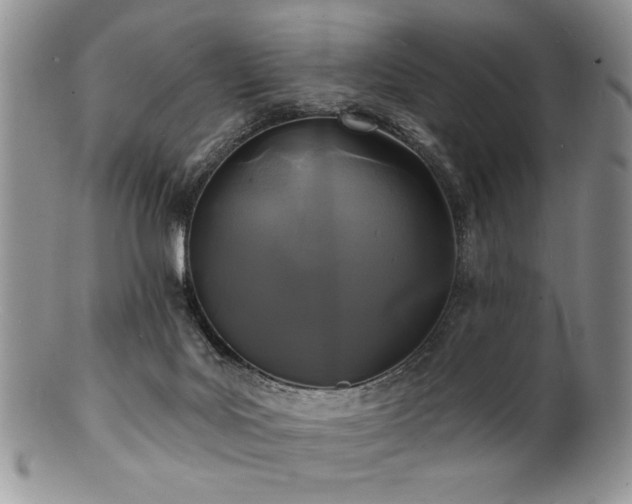 X0000100840027200806201201