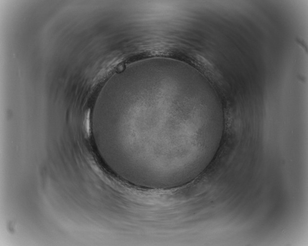 X0000100840028200806201201