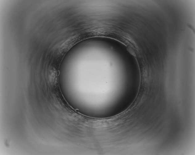 X0000100840029200806201201