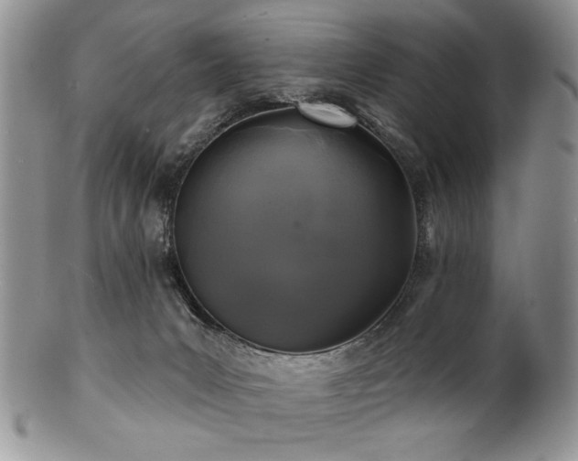 X0000100840031200806201201