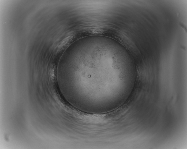 X0000100840032200806201201