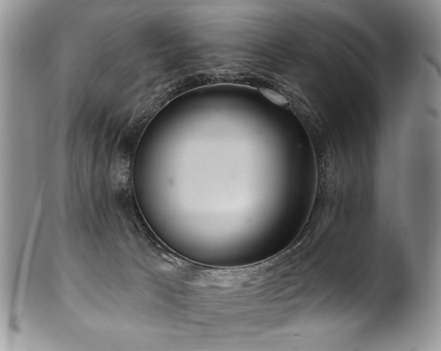 X0000100840033200806201201