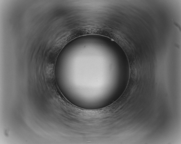 X0000100840034200806201201