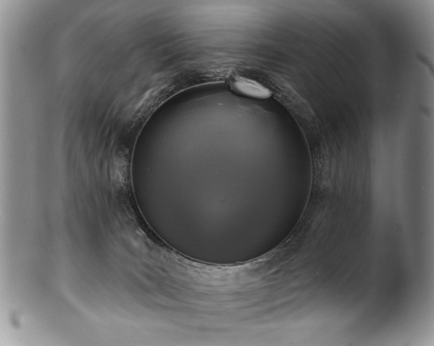 X0000100840035200806201201