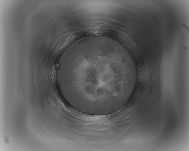 X0000100840036200806201201