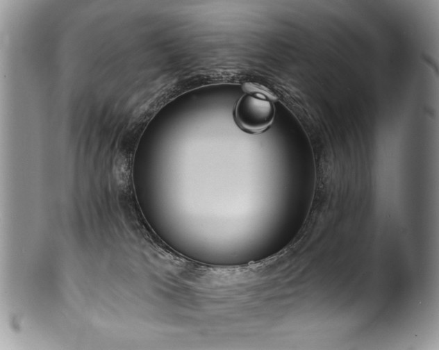 X0000100840037200806201201