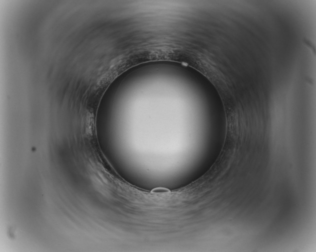 X0000100840038200806201201