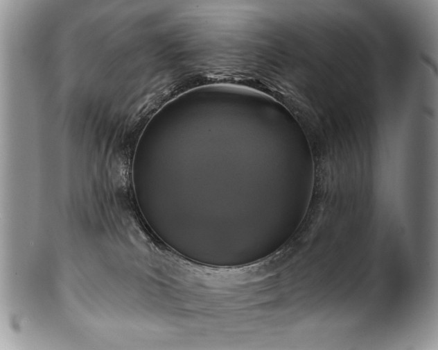 X0000100840039200806201201