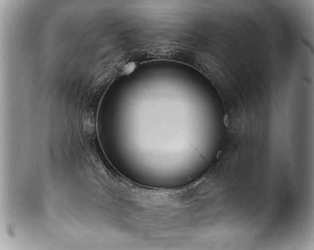 X0000100840040200806201201