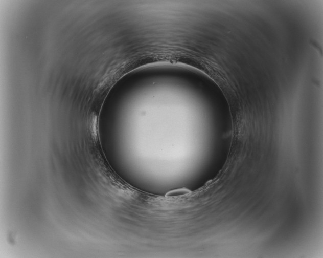 X0000100840041200806201201