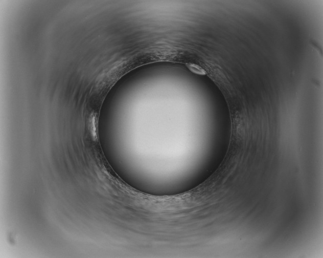 X0000100840042200806201201