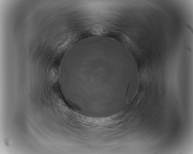 X0000100840043200806201201