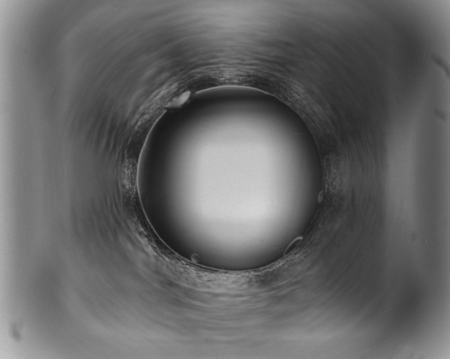 X0000100840044200806201201