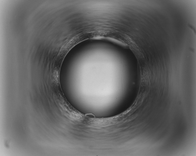 X0000100840045200806201201