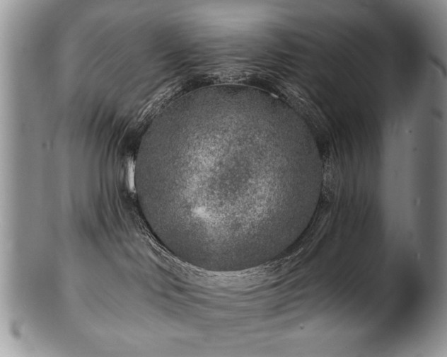 X0000100840046200806201201